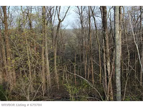 tbd Bunyard Rd, Winslow, AR 72959 photo 5