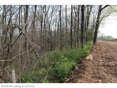 tbd Bunyard Rd, Winslow, AR 72959 photo 3
