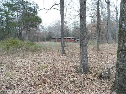 9901 E Diamondback Ln, Hackett, AR 72937 photo 25