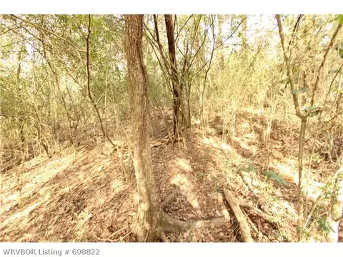 tbd Maple Valley Rd, Alma, AR 72921 photo 4