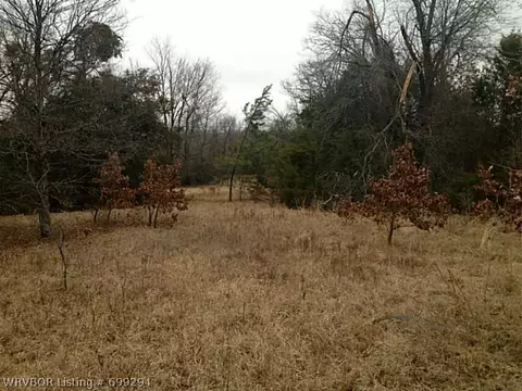 1011 E 6th St, Waldron, AR 72958 photo 18