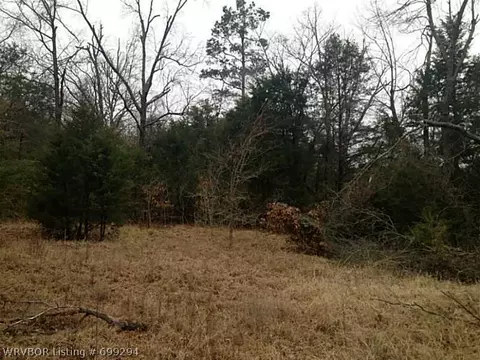 1011 E 6th St, Waldron, AR 72958 photo 17