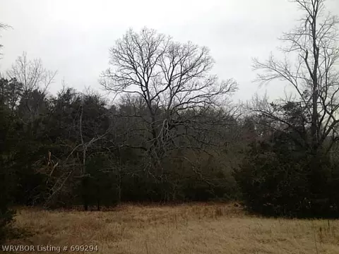 1011 E 6th St, Waldron, AR 72958 photo 19