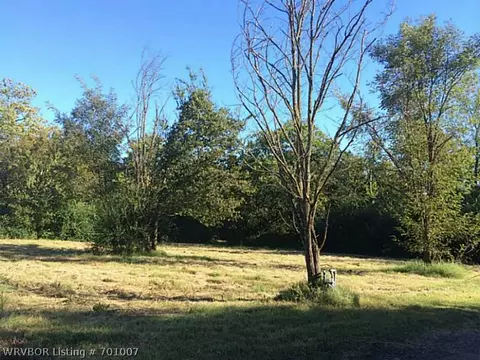 313 Wright St, Hackett, AR 72937 photo 5