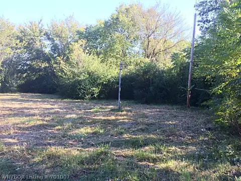 313 Wright St, Hackett, AR 72937 photo 8