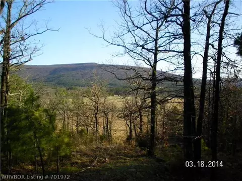 1614 W Harmony Rd, Mansfield, AR 72944 photo 3