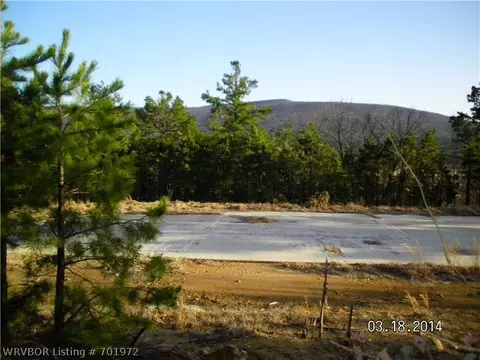1614 W Harmony Rd, Mansfield, AR 72944 photo 5