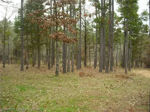 18030 Maple Rd, Waldron, AR 72958 photo 24