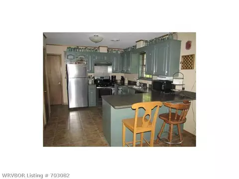103 W Arch St, Paris, AR 72855 photo 3