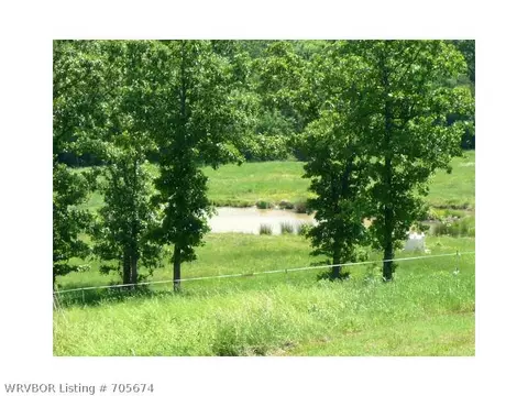 18480 Round Mountain Rd, Howe, OK 74940 photo 22