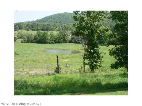 18480 Round Mountain Rd, Howe, OK 74940 photo 21