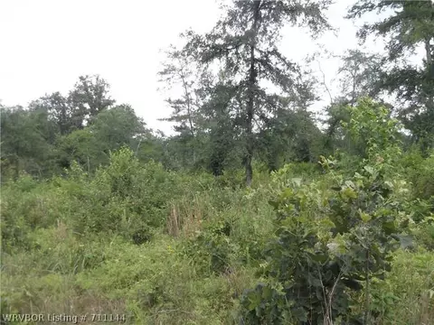 2725 Westview Rd, Ozark, AR 72949 photo 8