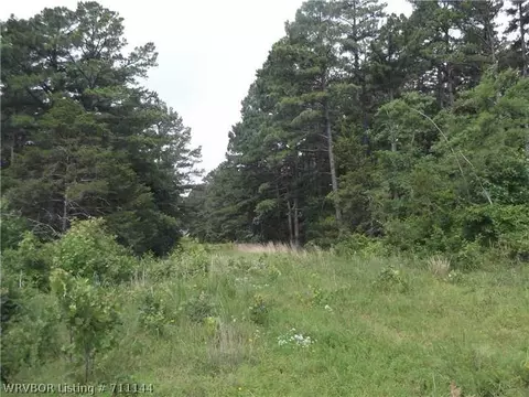 2725 Westview Rd, Ozark, AR 72949 photo 10