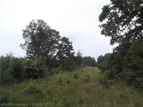 2725 Westview Rd, Ozark, AR 72949 photo 4