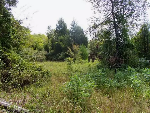 25901 22 Hwy, Charleston, AR 72933 photo 23