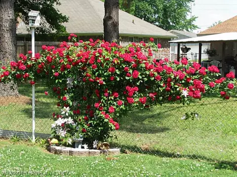 7812 Meadow Dr, Fort Smith, AR 72908 photo 15