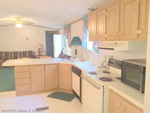 39 Evergreen Dr, Mount Ida, AR 71957 photo 10