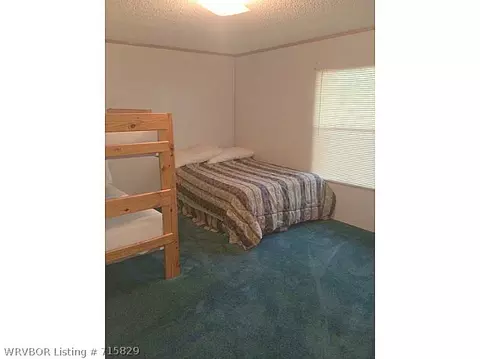 39 Evergreen Dr, Mount Ida, AR 71957 photo 9