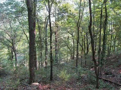 507 E Shaffer Rd, Chester, AR 72934 photo 5