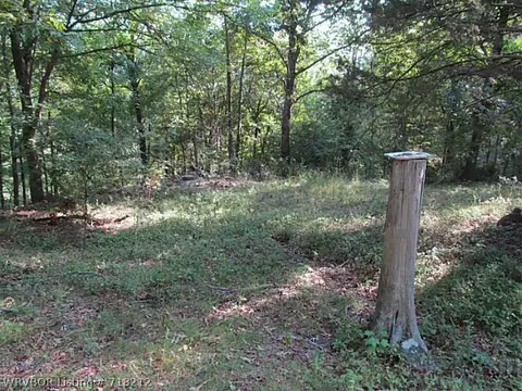 507 E Shaffer Rd, Chester, AR 72934 photo 4