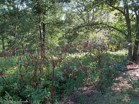 507 E Shaffer Rd, Chester, AR 72934 photo 2