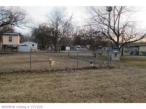 810 E Mary St, Paris, AR 72855 photo 14