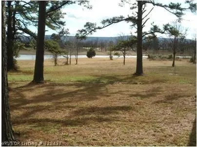1821 Lakeshore Ln, Mansfield, AR 72944 photo 22