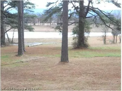 1821 Lakeshore Ln, Mansfield, AR 72944 photo 23