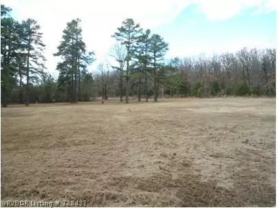 1821 Lakeshore Ln, Mansfield, AR 72944 photo 21