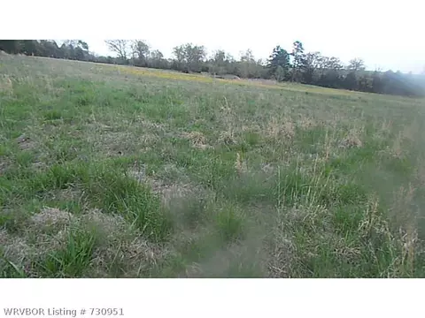 1908 Rattlesnake Rd, Booneville, AR 72927 photo 2