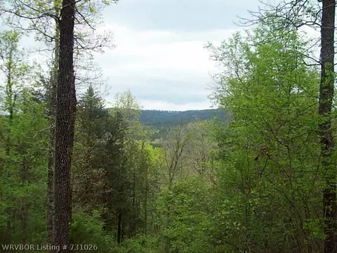 2600 Mossy Rd, Ozark, AR 72949 photo 5