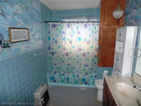106 E 1st St, Hartford, AR 72938 photo 5