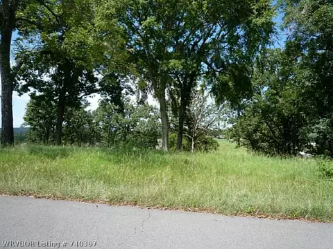 318 Stone Mountain Loop, Alma, AR 72921 photo 10