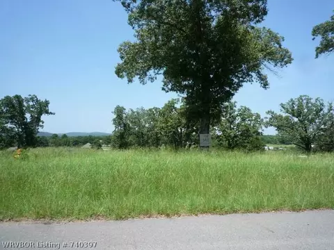 318 Stone Mountain Loop, Alma, AR 72921 photo 11