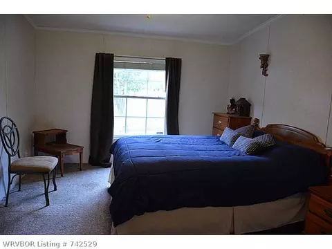 6006 Mount Zion Rd, Hackett, AR 72937 photo 14