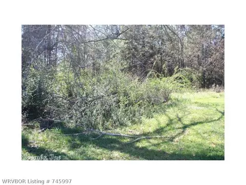 103 W Dover St, Hatfield, AR 71945 photo 12