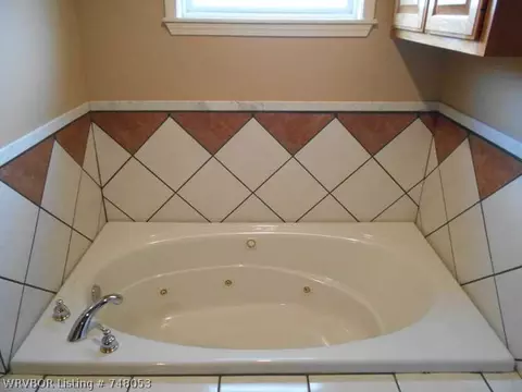 13601 Chocoville Rd, Mansfield, AR 72944 photo 8