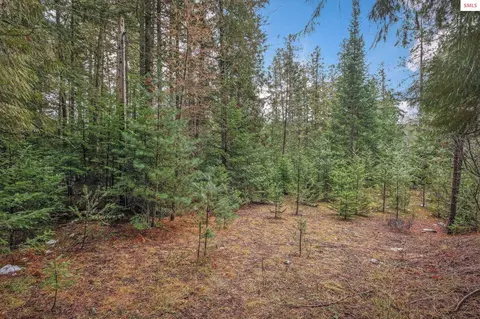 14 W River Dr, Clark Fork, ID 83811 photo 5