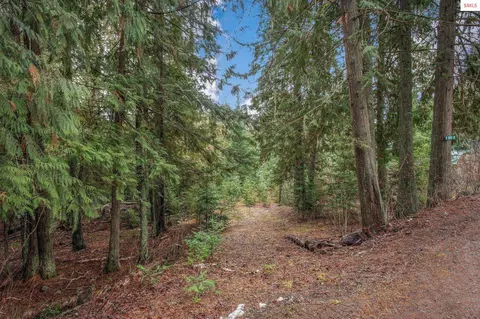 14 W River Dr, Clark Fork, ID 83811 photo 4