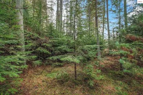 14 W River Dr, Clark Fork, ID 83811 photo 8