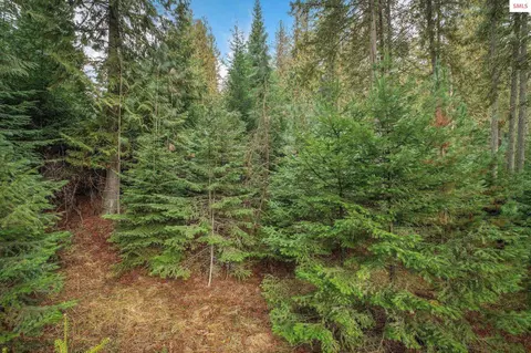 14 W River Dr, Clark Fork, ID 83811 photo 10