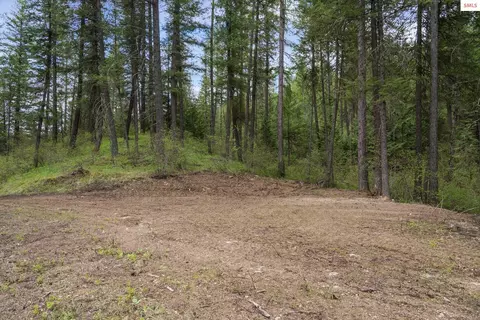 1438 Granite Loop, Athol, ID 83801 photo 13