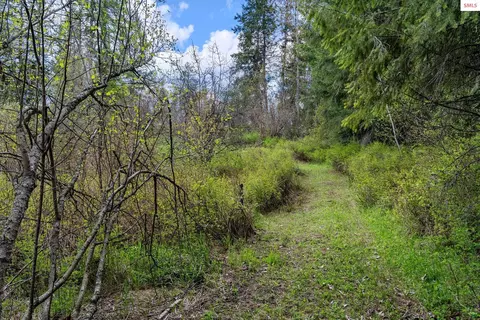 1438 Granite Loop, Athol, ID 83801 photo 10