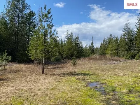 Upper Gold Cr., Sandpoint, ID 83864 photo 22