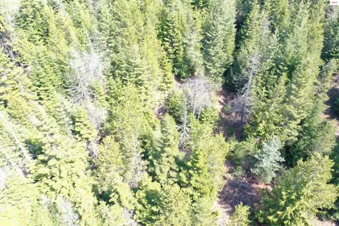 Upper Gold Cr., Sandpoint, ID 83864 photo 12