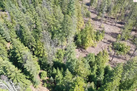 Upper Gold Cr., Sandpoint, ID 83864 photo 14