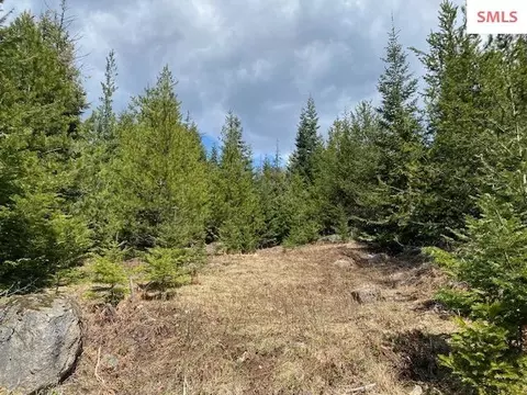 Upper Gold Cr., Sandpoint, ID 83864 photo 24