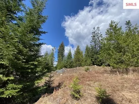 Upper Gold Cr., Sandpoint, ID 83864 photo 31