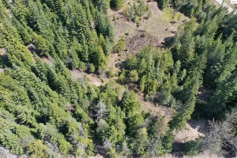 Upper Gold Cr., Sandpoint, ID 83864 photo 10