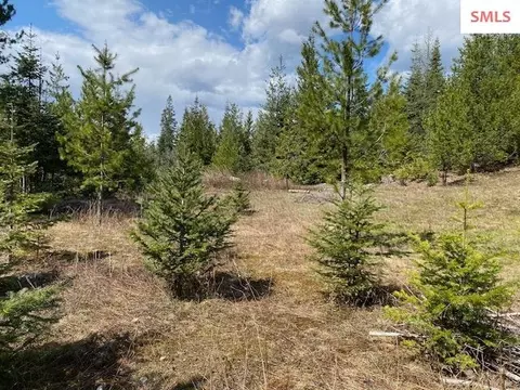 Upper Gold Cr., Sandpoint, ID 83864 photo 18